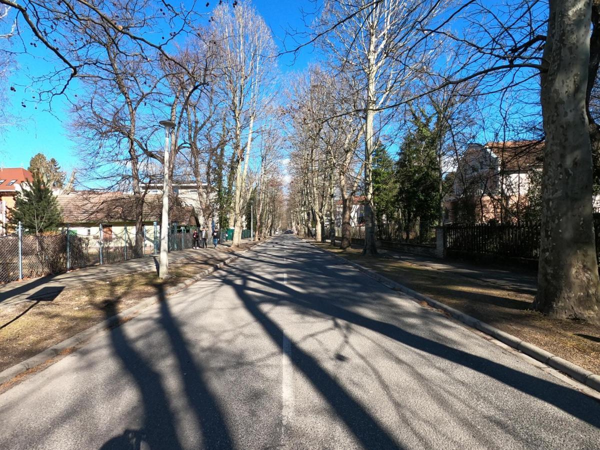 Gosztonyi Villa Сиофок Екстериор снимка